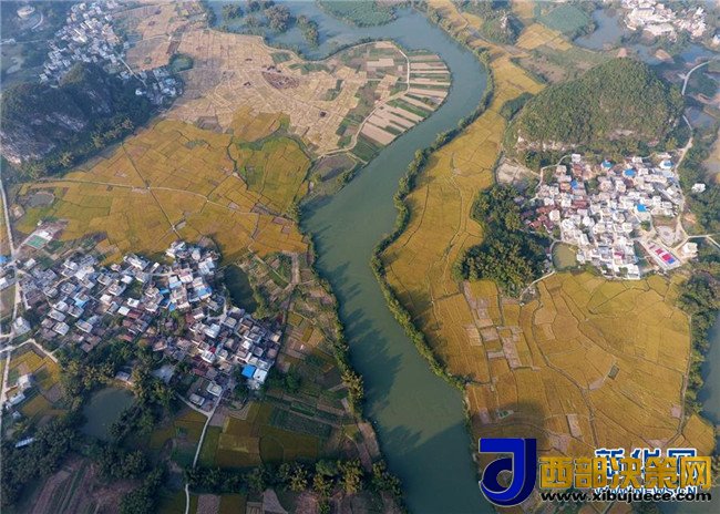 1509675519713337.jpg 3.jpg