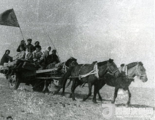 1511398314689842.jpg 1.jpg