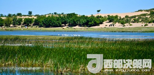 阿魯科爾沁保護區(qū)濕地沙丘。吳勇攝