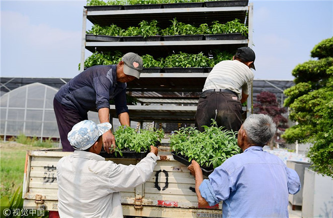 數(shù)字經(jīng)濟已經(jīng)成為我國經(jīng)濟社會更好發(fā)展的重要推動力，也為我國鄉(xiāng)村發(fā)展提供了新的歷史機遇。（圖片來源：視覺中國）