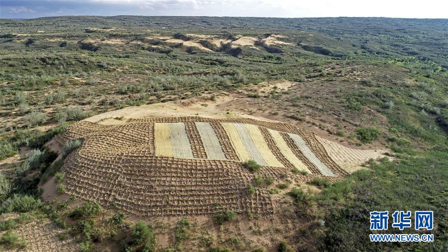 （壯麗70年·奮斗新時代——共和國發(fā)展成就巡禮·圖文互動）（6）生態(tài)美、百姓富——品讀嶄新“寧夏畫卷”