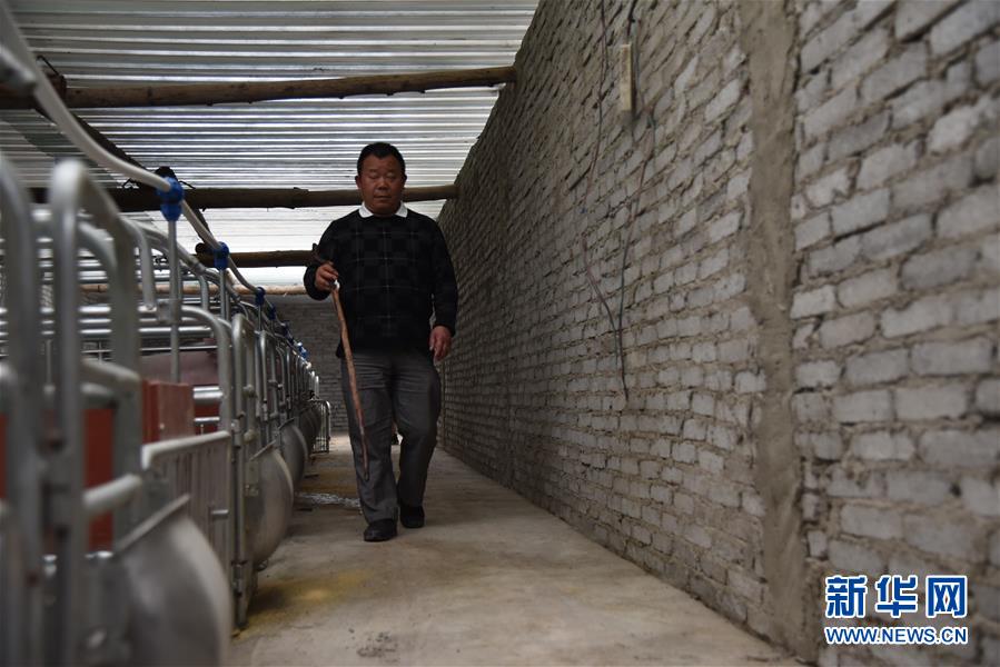 (新華全媒頭條·圖文互動)(6)刺梨花開滿山紅——記在貴州脫貧攻堅一線奮斗的殘疾人