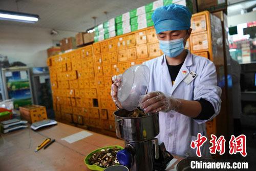 疫情發(fā)生以來，甘肅確保所有病例盡早、及時、全程使用中醫(yī)中藥，努力做到“一患一方案”。(資料圖) 楊艷敏 攝