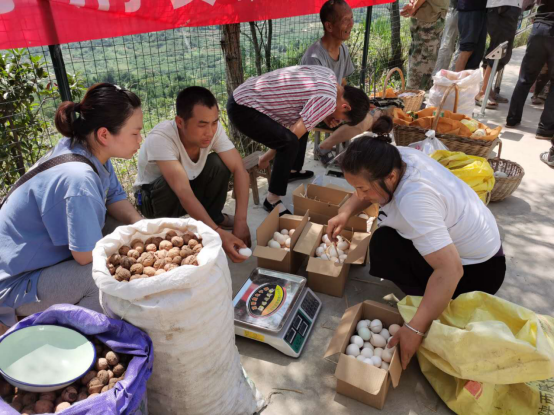 正在上傳... 90486353df0257a5366950ae03886669.png