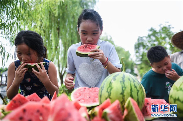 (社會)(2)大暑節(jié)氣“賽西瓜”