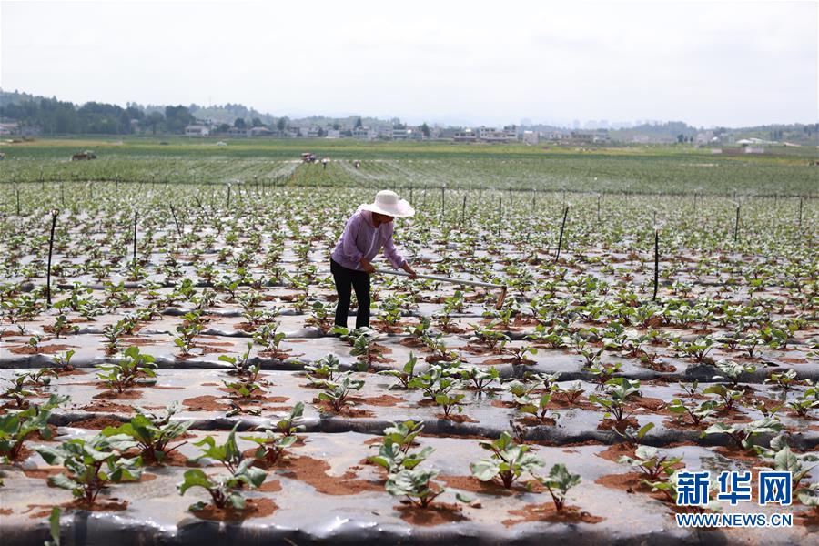 (新華全媒頭條·走向我們的小康生活·決戰(zhàn)決勝脫貧攻堅(jiān)·圖文互動(dòng))(3)千年之渴今朝解——貴州貧困群眾實(shí)現(xiàn)“吃水不愁”