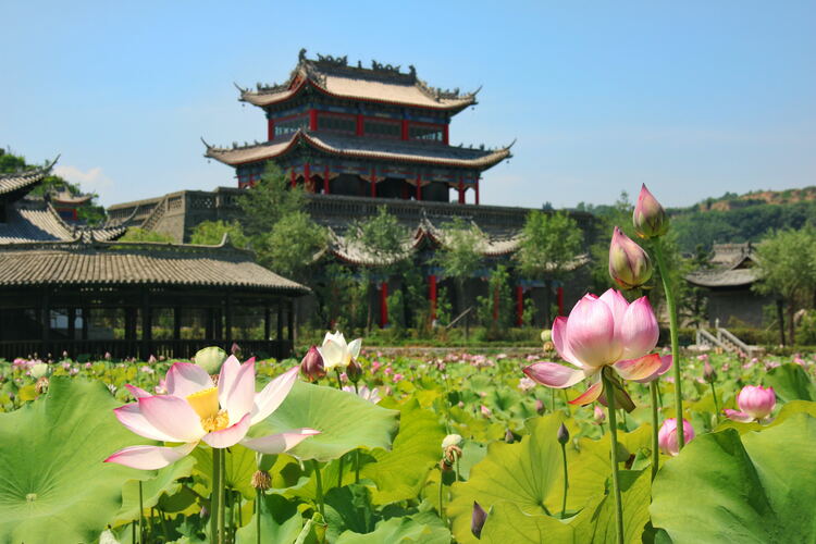 【云游渭南】心中若有桃花源，此處便是水云間！待疫情散盡，一起來渭南桃花源賞美景、觀民俗、享美食_fororder_2